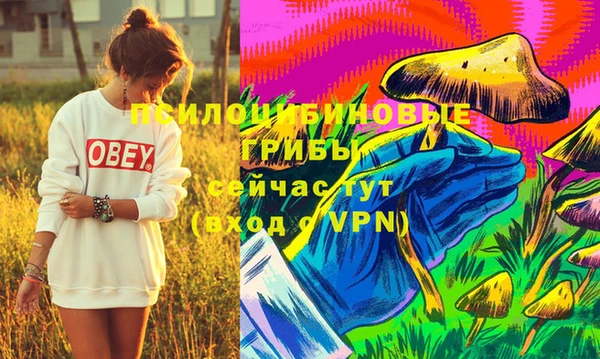 герыч Михайлов
