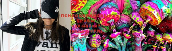 прущие грибы Тихорецк