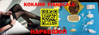 a pvp Камышлов