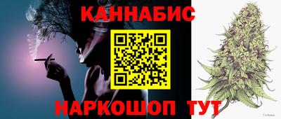 a pvp Камышлов