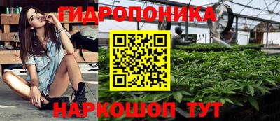 a pvp Камышлов