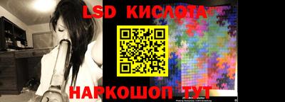 a pvp Камышлов
