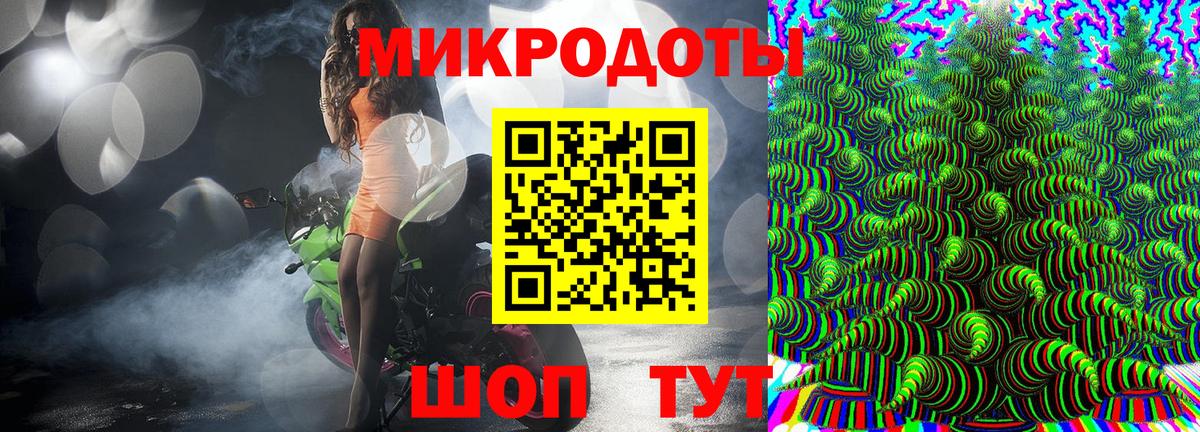 Галлюциногенные грибы Psilocybe Усть-Илимск